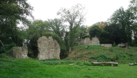 Élagueur Chambois