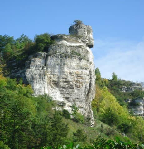 Élagueur La Roquette