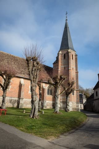 Élagueur Louye