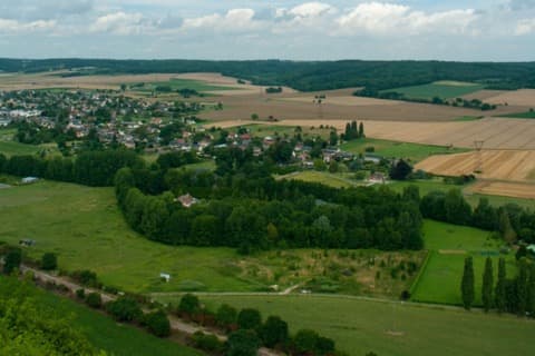 Élagueur Pîtres